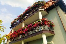 Dom Wczasowy Ewelinka